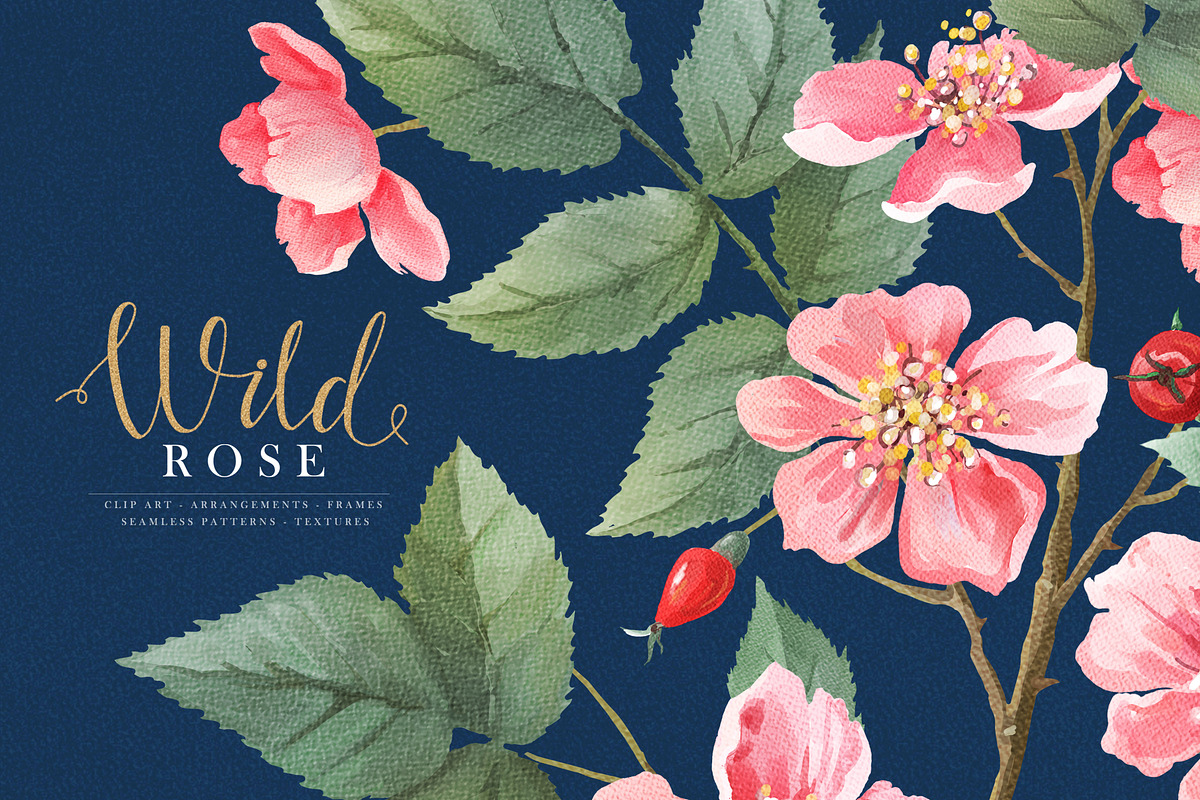Watercolor Wild Rose in Illustrations - product preview 8