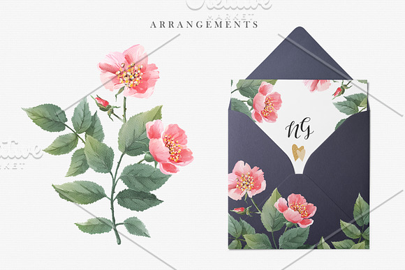 Watercolor Wild Rose in Illustrations - product preview 1