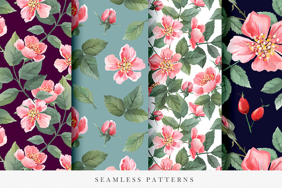 Watercolor Wild Rose in Illustrations - product preview 9