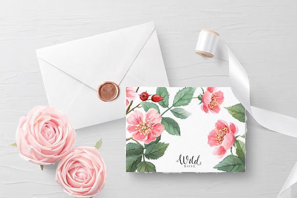 Watercolor Wild Rose in Illustrations - product preview 11