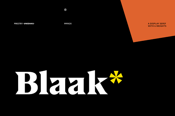 Blaak - 12 Style Serif Family in Serif Fonts - product preview 8
