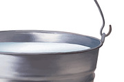 Metallic bucket with milk. Vector