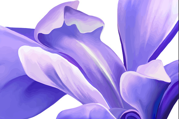 Purple Iris Flower. Vector in Objects - product preview 1