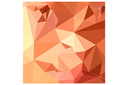 Tango Orange Abstract Low Polygon Ba
