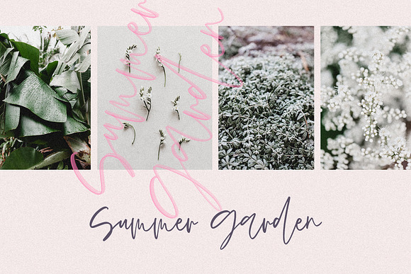 SPRING BLUSH in Script Fonts - product preview 5