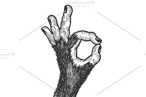 Monkey hand ok gesture sketch