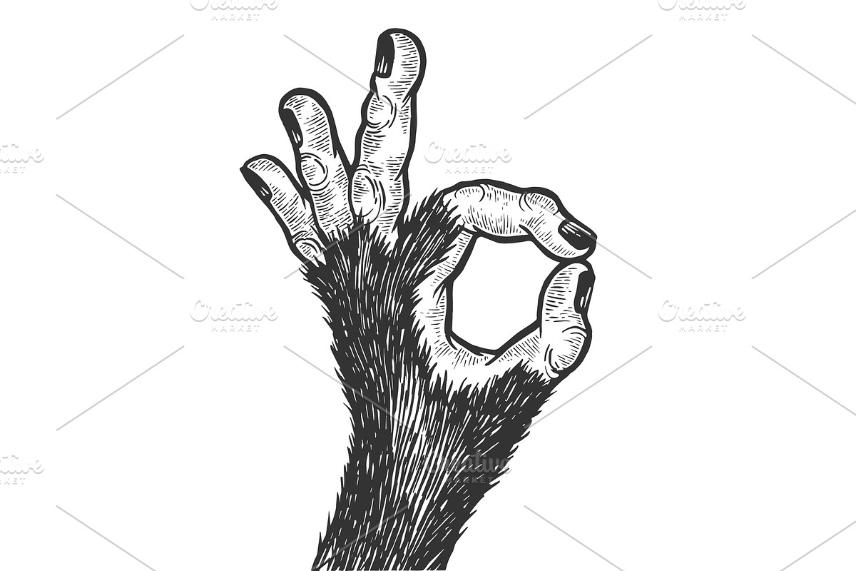 Monkey hand ok gesture sketch in Illustrations - product preview 8