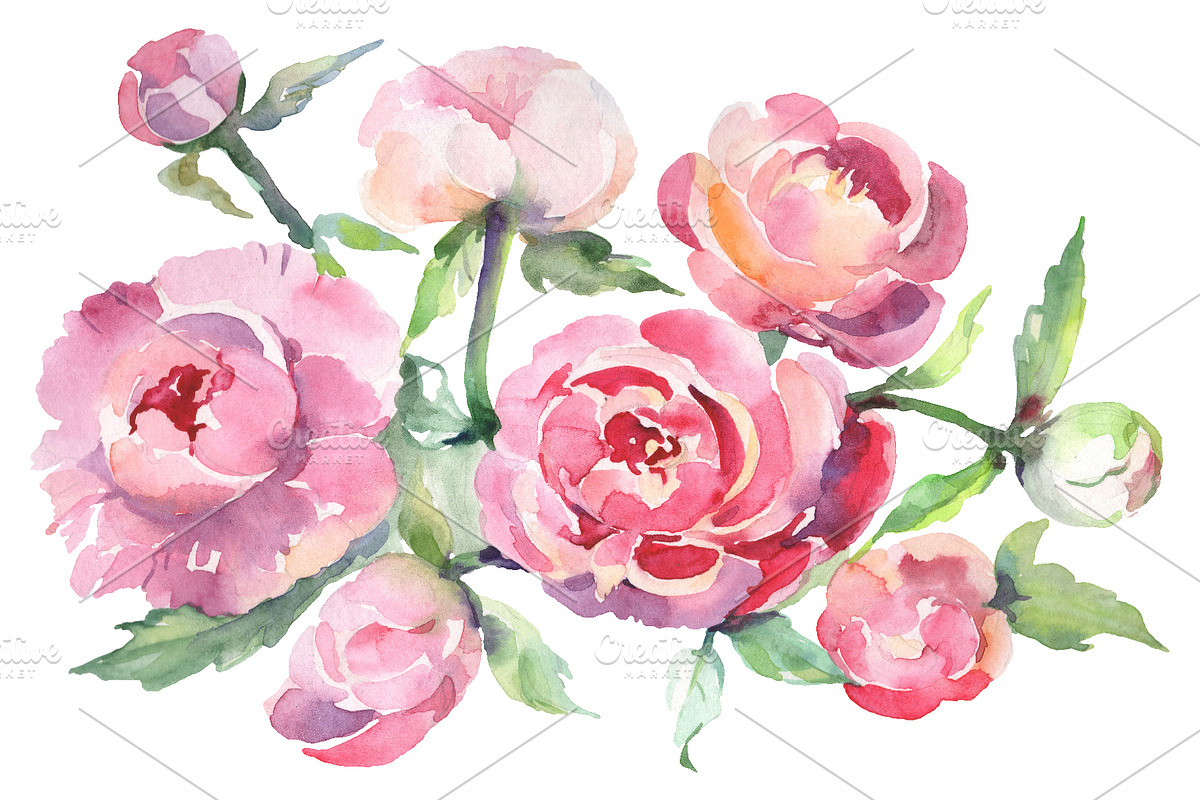 Bouquet with peonies Watercolor png in Illustrations - product preview 8