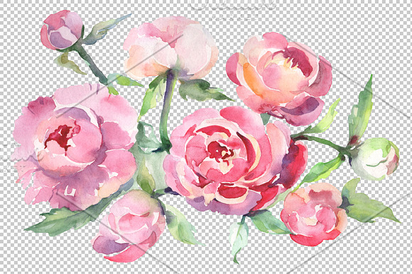 Bouquet with peonies Watercolor png in Illustrations - product preview 1