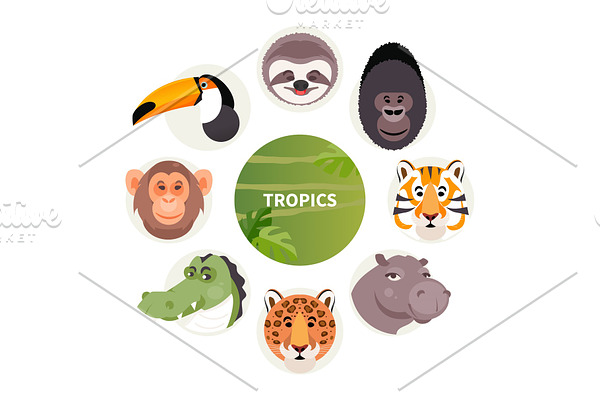 Cartoon animals of the tropics
