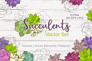 Succulents Vector Set 