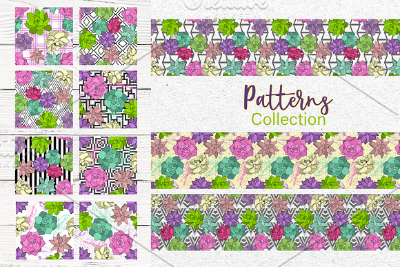 Succulents Vector Set  in Illustrations - product preview 2