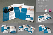 Bifold Business Brochure-V152