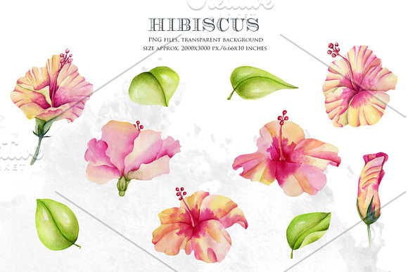 Royal flowers. Watercolor clip art. in Illustrations - product preview 2