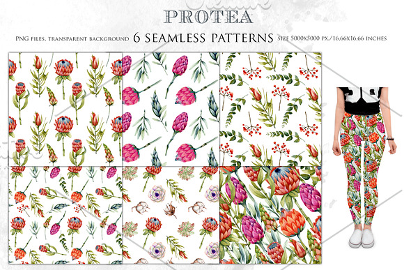 Royal flowers. Watercolor clip art. in Illustrations - product preview 9