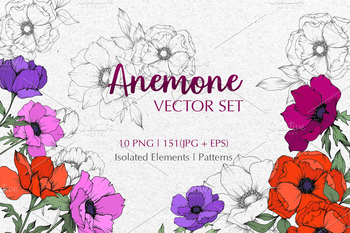 ANEMONE VECTOR SET in Illustrations - product preview 8