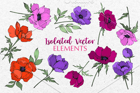 ANEMONE VECTOR SET in Illustrations - product preview 9