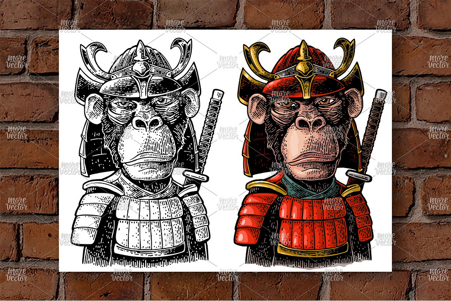 Monkey with samurai sword and japan in Illustrations - product preview 8