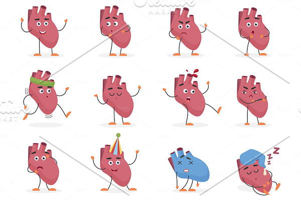 Human heart internal organ emotions