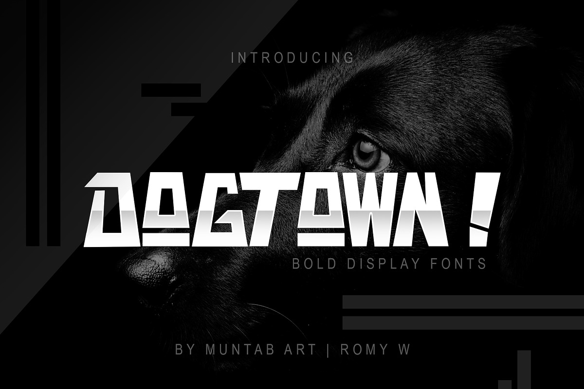 DOGTOWN ! Font | Ungeometric in Display Fonts - product preview 8