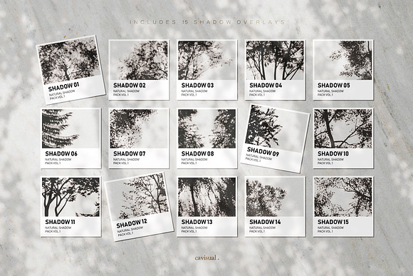 Garden - Natural Shadow Pack Vol.1 in Scene Creator Mockups - product preview 11