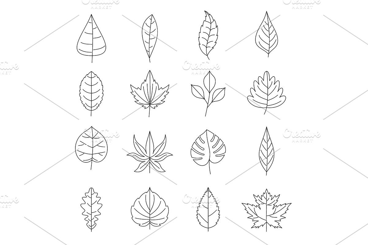 Plant leafs icons set, outline style in Illustrations - product preview 8