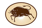 Texas Longhorn Bull attacking