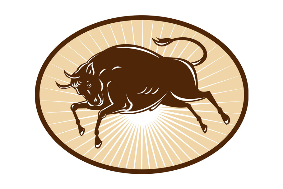 Texas Longhorn Bull attacking