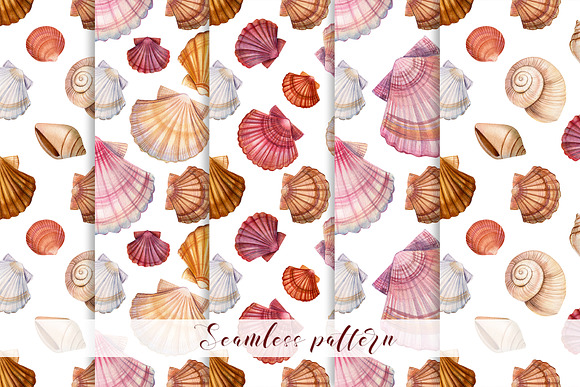 Set of seashells watercolor in Illustrations - product preview 4