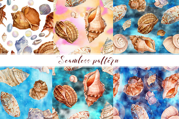 Set of seashells watercolor in Illustrations - product preview 5