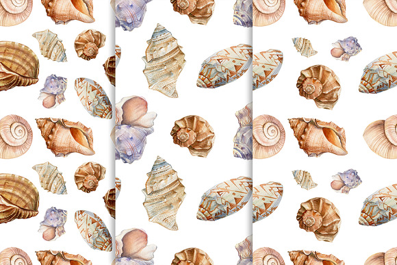 Set of seashells watercolor in Illustrations - product preview 6