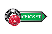 cricket sports ball