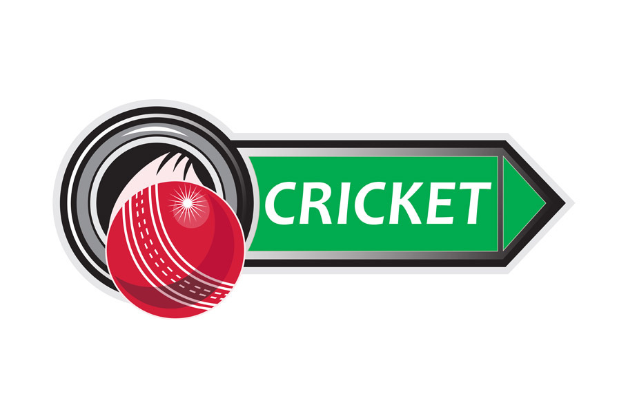 cricket sports ball