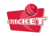 Cricket Sports Ball
