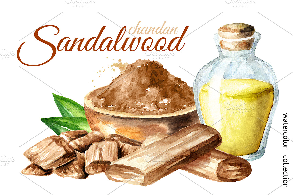 Sandalwood (chandan) in Illustrations - product preview 8