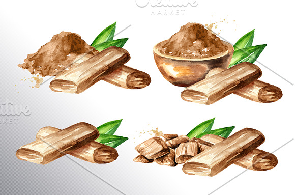 Sandalwood (chandan) in Illustrations - product preview 1