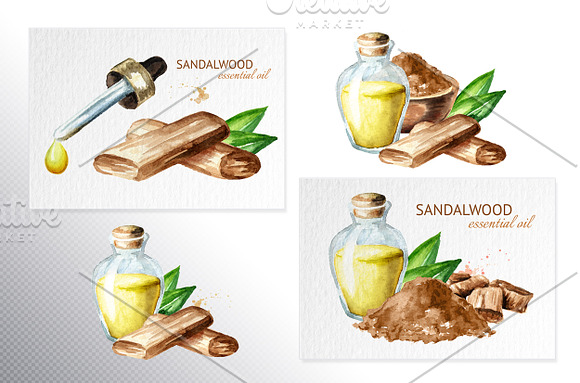 Sandalwood (chandan) in Illustrations - product preview 2
