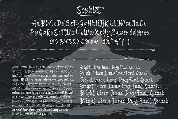 Sophiet // Brush Script in Display Fonts - product preview 6