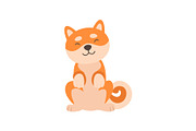 Cute Shiba Inu Dog Sitting