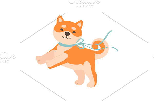 Shiba Inu Dog with Leash, Cute