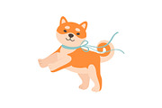 Shiba Inu Dog with Leash, Cute