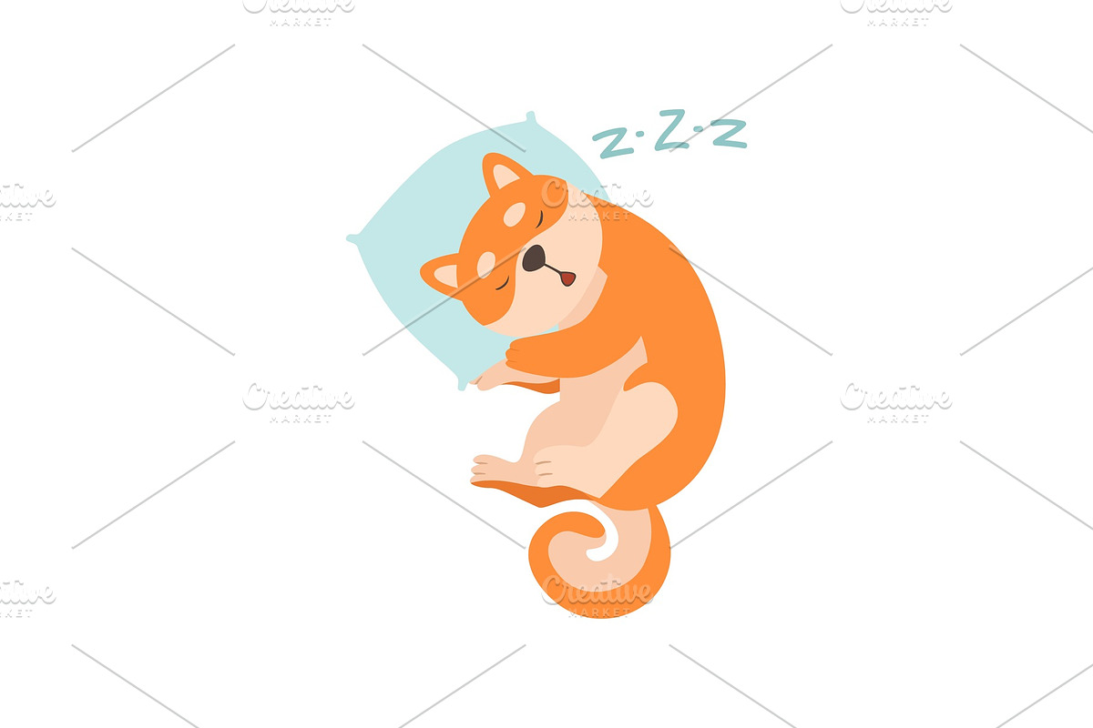 Shiba Inu Dog Sleeping on Pillow in Illustrations - product preview 8