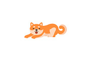 Cute Shiba Inu Dog Lying, Adorable