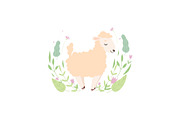 Adorable Little Lamb, Cute Sheep