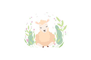 Adorable Little Lamb, Cute Sheep