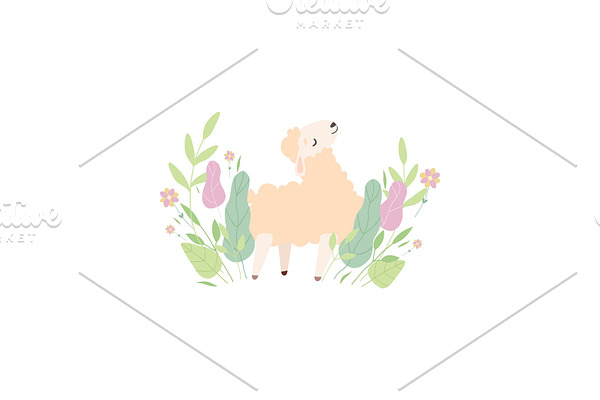 Cute Little Lamb on Green Meadow