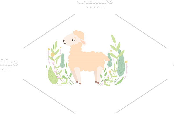Cute Little Lamb Standing on Meadow