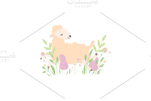 Cute Little Lamb Lying on Spring