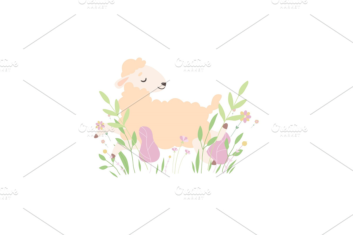 Cute Little Lamb Lying on Spring in Illustrations - product preview 8