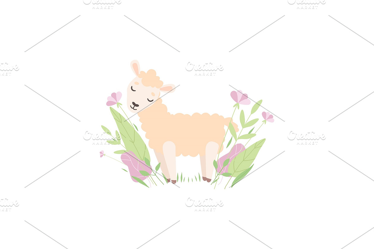 Cute Little Lamb, Adorable Sheep in Illustrations - product preview 8